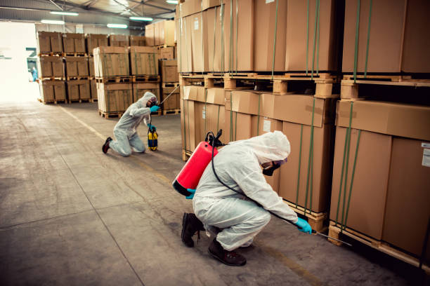 Best Pest Removal Services  in St Paul, NE