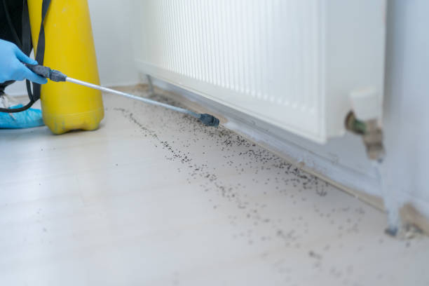  St Paul, NE Pest Control Pros